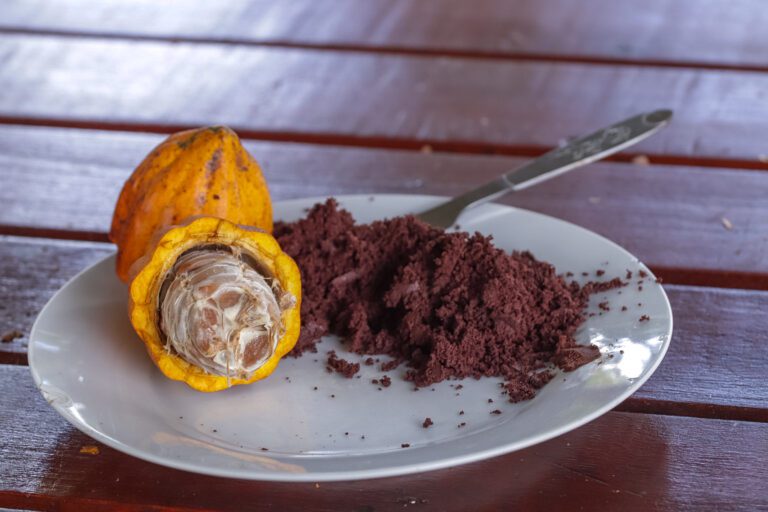Essence Arenal Cacao Tour