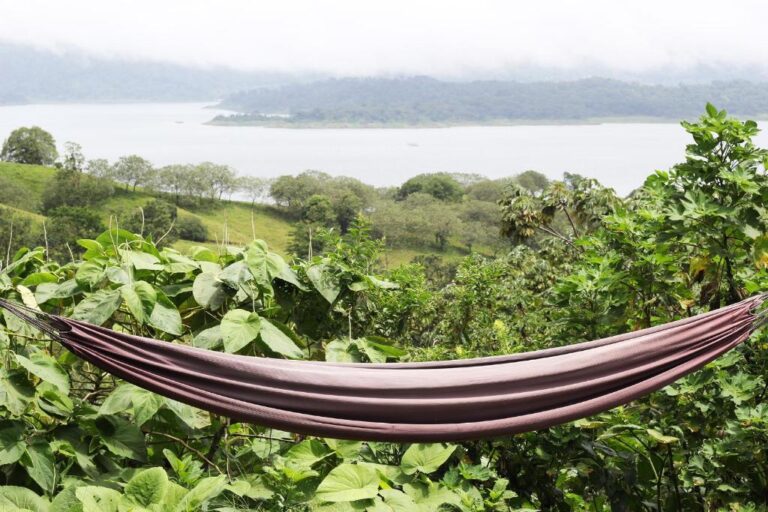 Essence Arenal