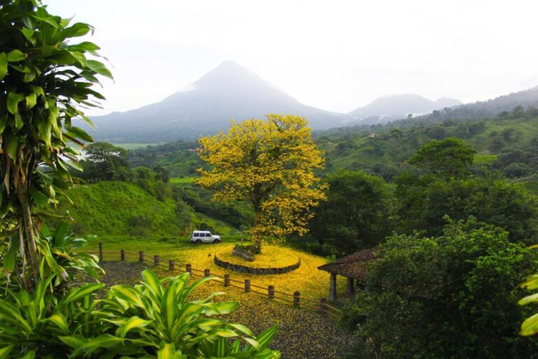 Essence Arenal