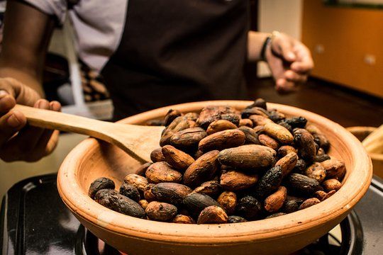 Cacao Workshop
