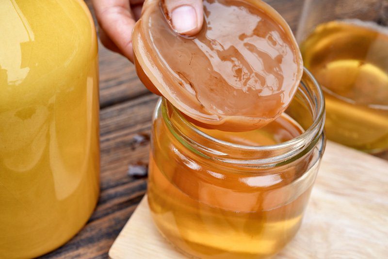 Kambucha making workshop
