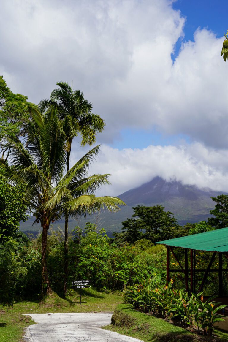 Essence Arenal