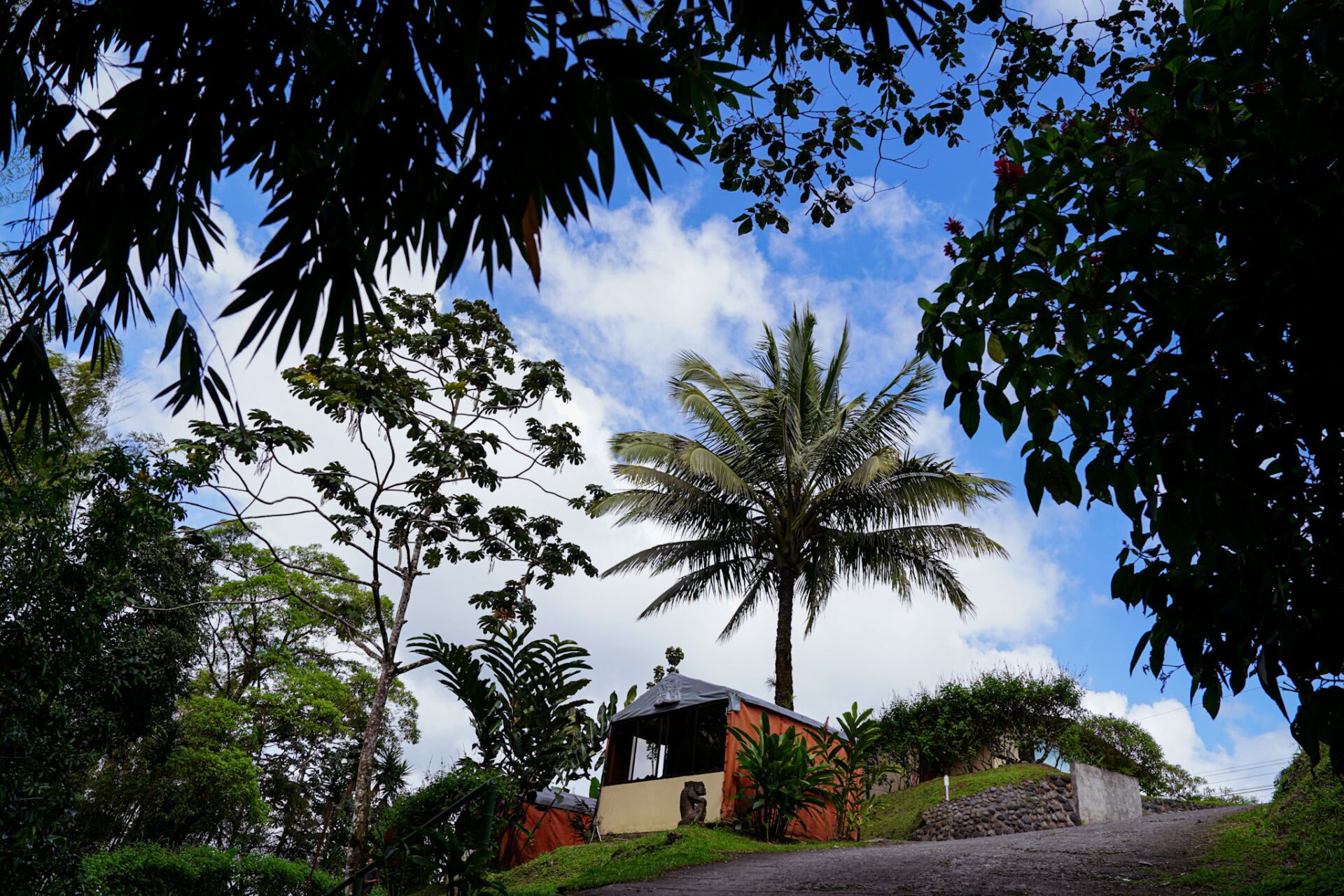 Essence Arenal