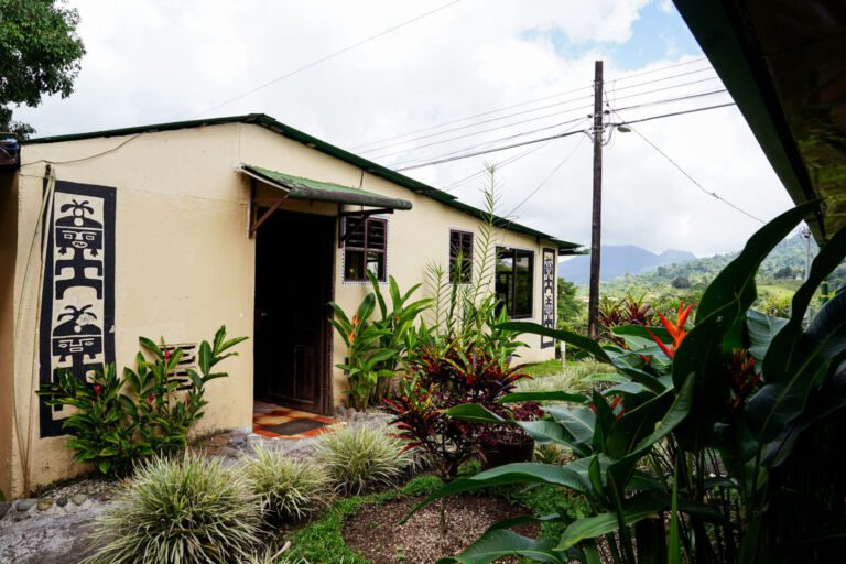 Essence Arenal