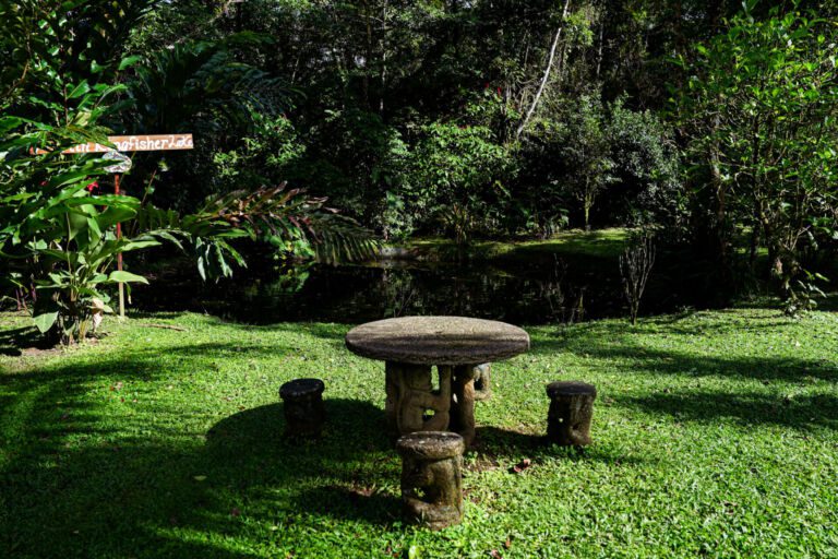 Essence Arenal