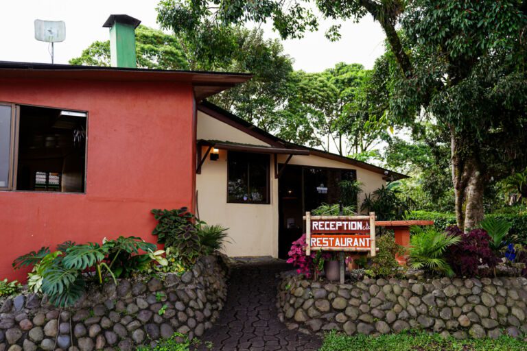 Essence Arenal