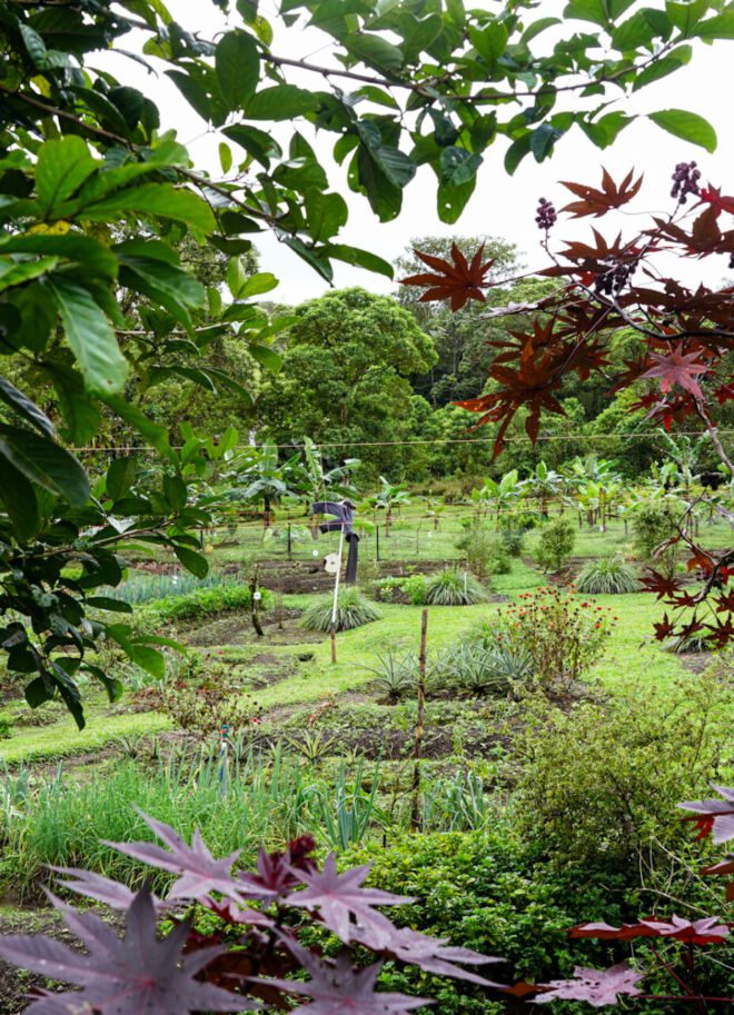 Essence Arenal Farm