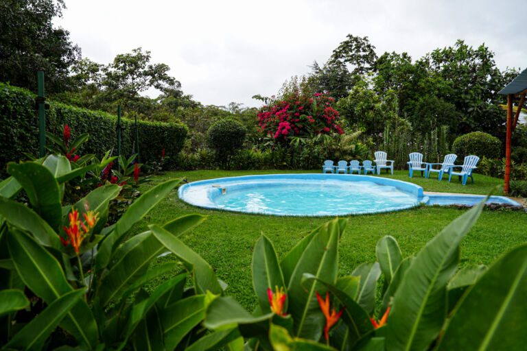 Essence Arenal