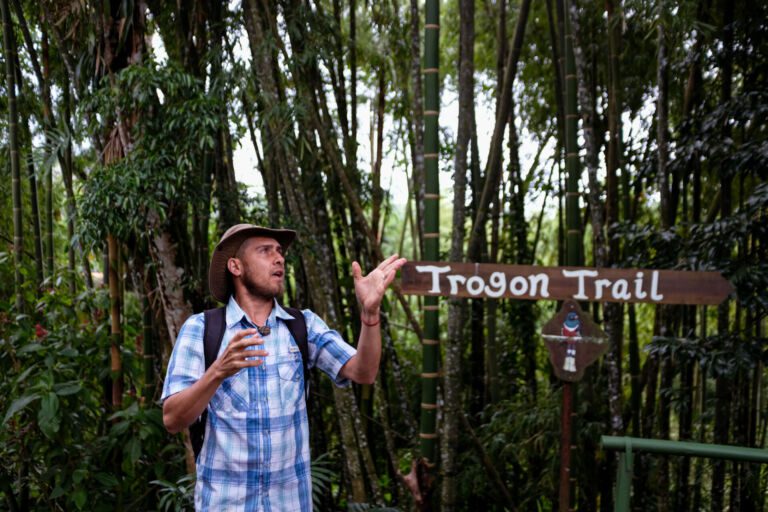 Essence Arenal Cacao Tour