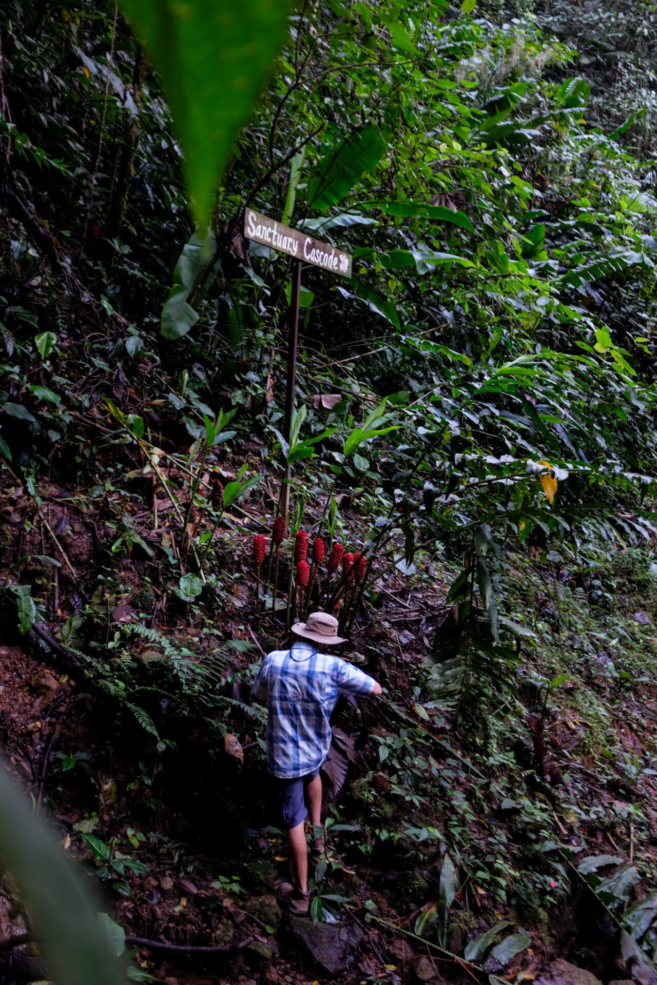 Essence Arenal Nature & Relax