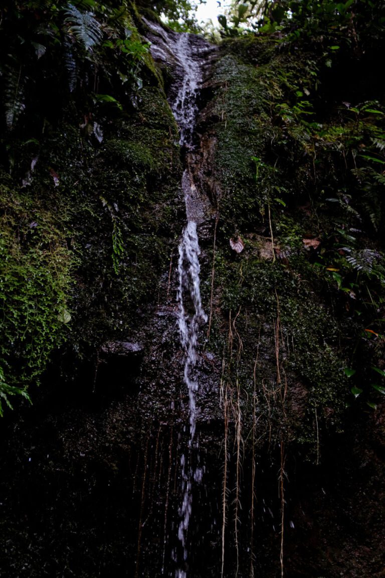 Essence Arenal Nature & Relax