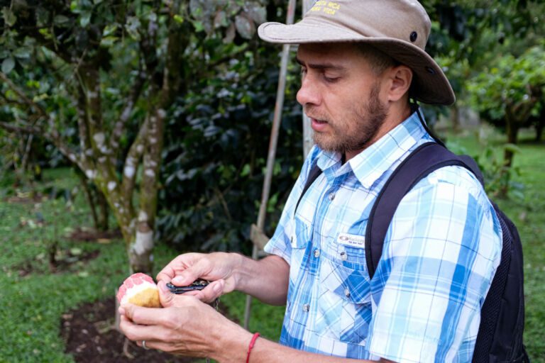 Essence Arenal Cacao Tour