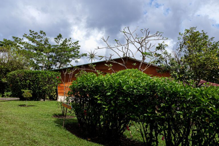 Essence Arenal