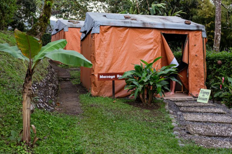 Essence Arenal